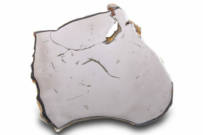 Gebel Kamil Iron Meteorite Slice ( g) - Egypt #284525